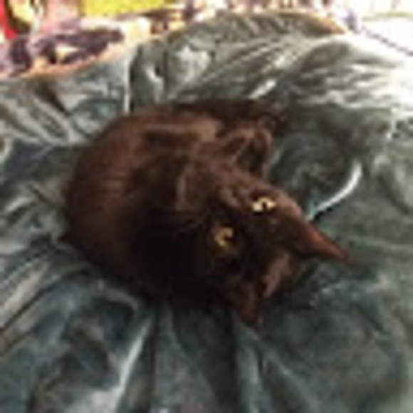 Meet your Posher, Lilia - Picture 1 of 1